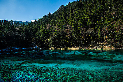 九寨沟风景