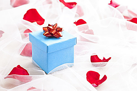 蓝色,礼盒,红色,蝴蝶结,婚纱