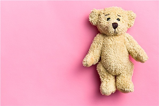 泰迪熊,粉色背景