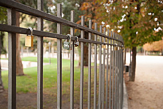 喜爱,挂锁,金属,栅栏,马德里