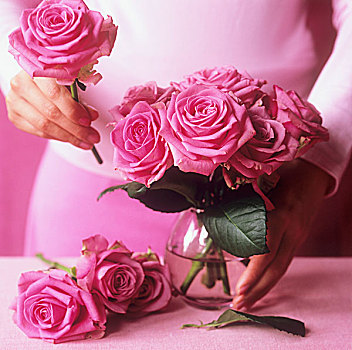 完美,玫瑰,花瓶