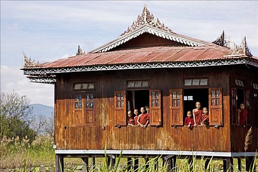 缅甸,茵莱湖,孩子,新信徒,僧侣,寺院,学校,许多,早期教育,男孩,佛教