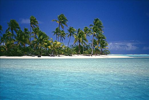 库克群岛,沿岸,景色,岛屿,棕榈树,海滩,深海