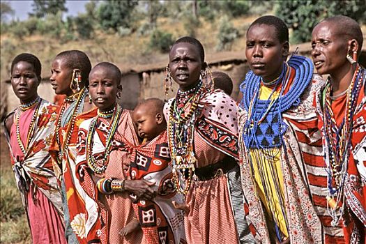 马萨伊人,女人,表演,传统,欢迎,唱,跳舞,游客,出游,乡村,非洲村寨