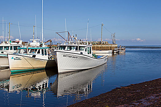 渔船,捆绑,英里,溪流,码头,爱德华王子岛,加拿大