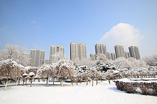 城市,公园,雪,楼房