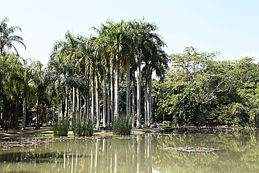 中科院西双版纳热带植物园