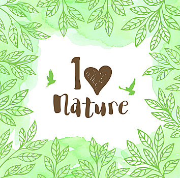 绿色,矢量,花,叶子,鸟,水彩,纹理,环境,概念,喜爱,自然,文字