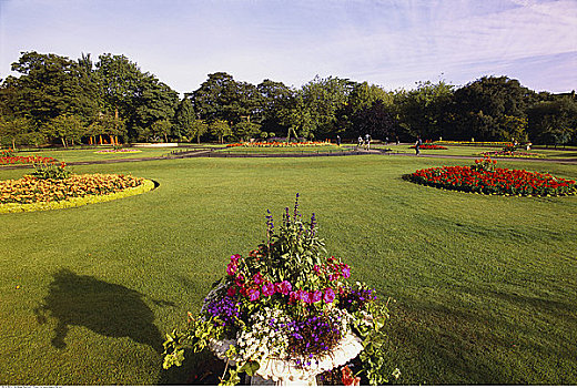花,树,绿色公园,都柏林,爱尔兰