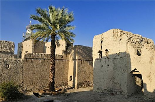 遗址,历史,砖坯,城市,靠近,区域,阿曼苏丹国,阿拉伯,中东