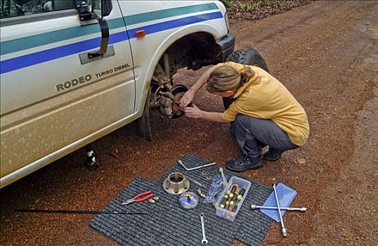 女人,修理,正面,轮胎,越野车辆,四驱车,碎石路,西澳大利亚,澳大利亚