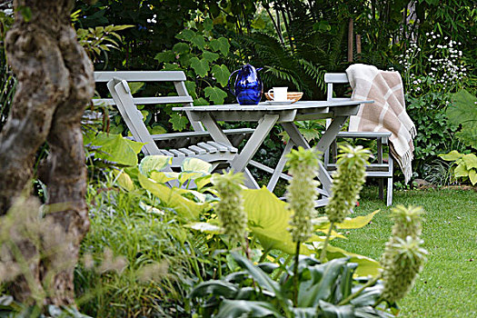 木桌子,椅子,花园,草坪,围绕,观叶植物