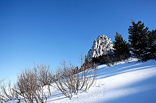 冬天,风景,坎彭完特山,齐姆高,上巴伐利亚,德国,欧洲