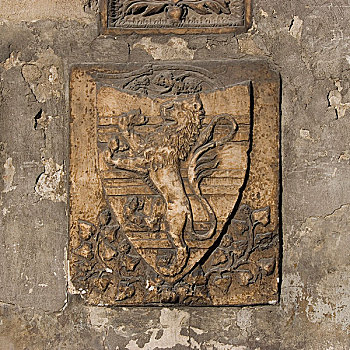 盾徽,狮子,石刻,佛罗伦萨,意大利