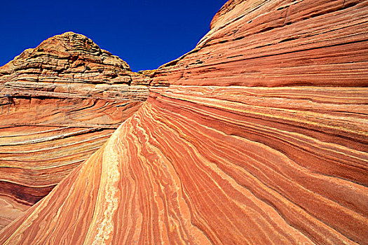 螺旋,砂岩构造,狼丘,区域,悬崖,荒野,亚利桑那