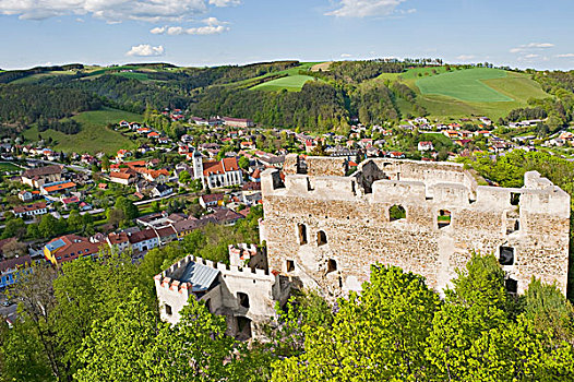 城堡,遗址,下奥地利州,奥地利,欧洲