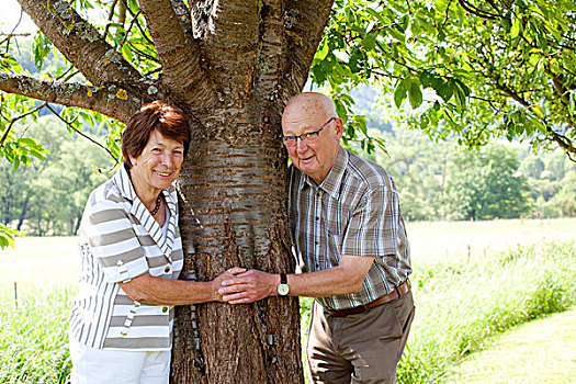 老年,夫妻,退休,70-80岁,树,莱茵兰普法尔茨州,德国,欧洲