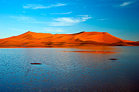 沙子,沙丘,晚间,亮光,后面,湖,重,雨,撒哈拉沙漠,南方,摩洛哥,非洲