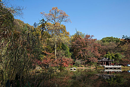 南京栖霞山