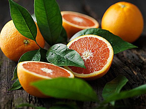 橘子,平分,树上,树皮