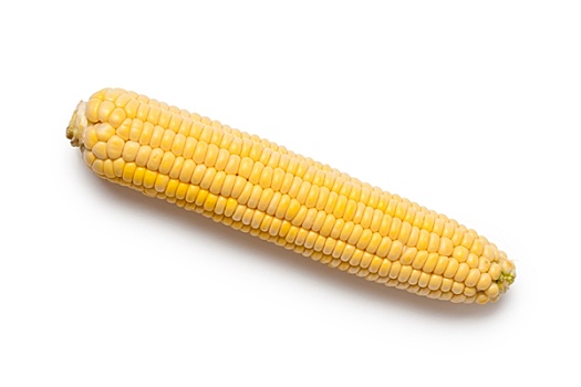 玉米,背景