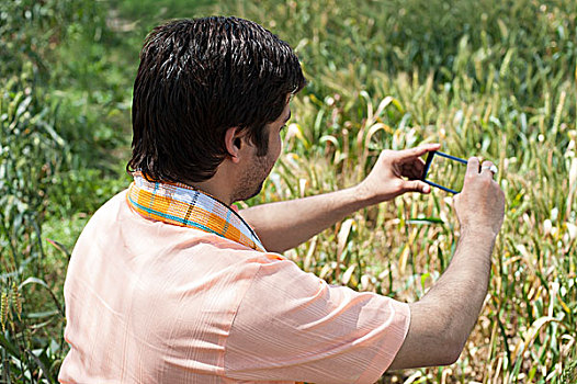 农民,拍照,作物,手机,印度