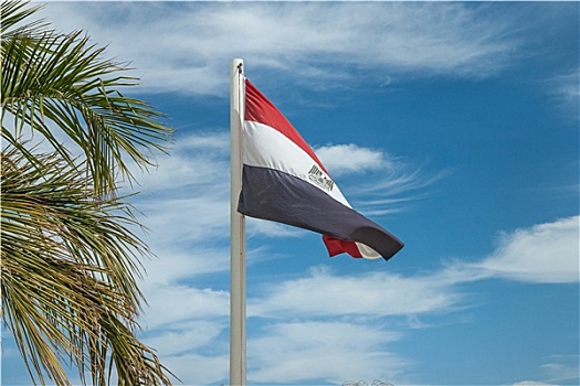 埃及,旗帜,旗杆,靠近,手掌