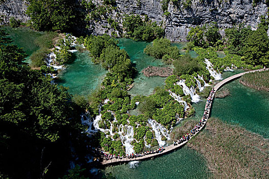 湖,木板路,俯视,十六湖国家公园,世界遗产,克罗地亚,欧洲