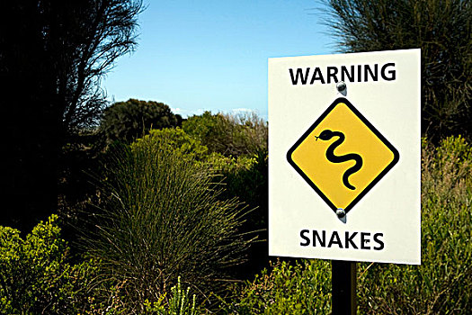 警告标识,蛇
