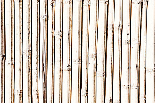 抽象,纹理,背景,竹子,墙壁,材质,装潢