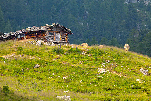 阿尔卑斯小屋,山谷
