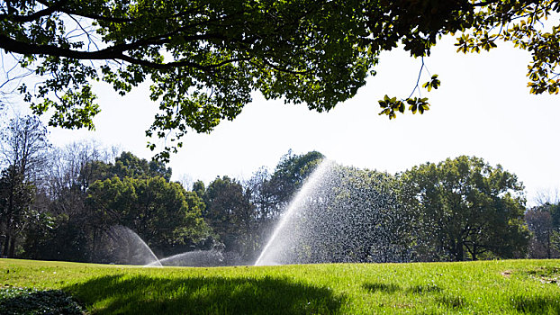 城市绿化草地草坪浇灌洒水喷水