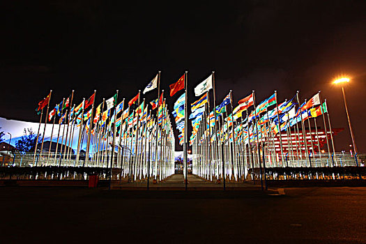 2010年上海世博会-国旗