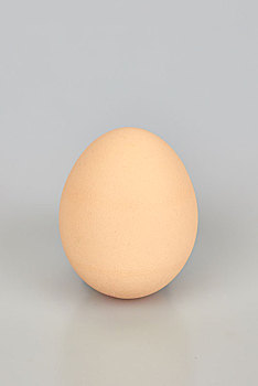 一个竖立的鸡蛋