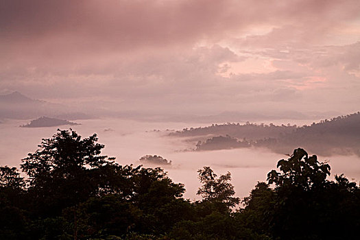 低地,雨林,云,日出,丹浓谷保护区,沙巴,婆罗洲,马来西亚