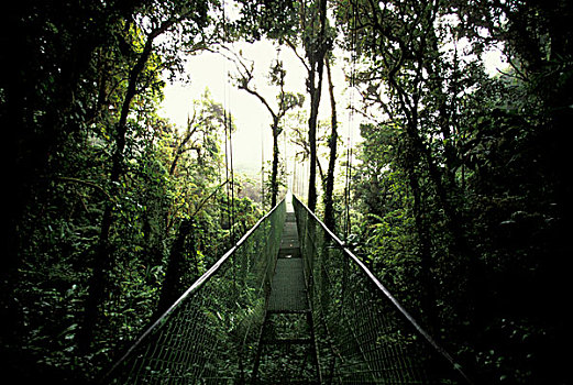 哥斯达黎加,吊桥