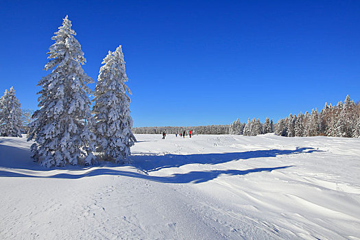 延边,国家森林公园,雪景