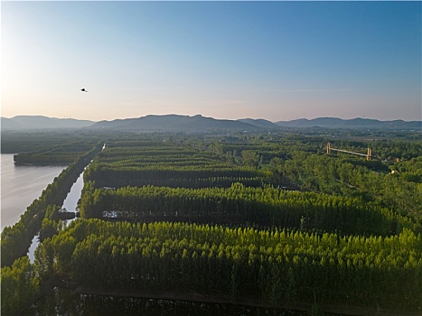 滕州微山湖红荷湿地