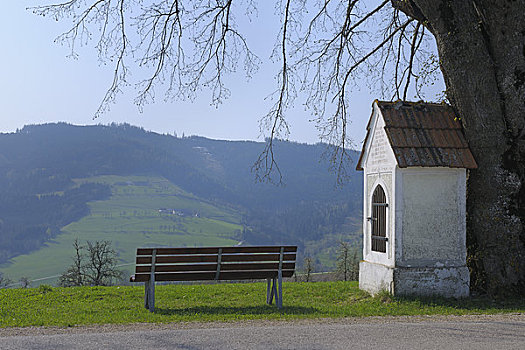 小,小教堂,树下,下奥地利州,奥地利