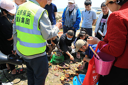 山东省日照市,90后小伙潜水捞海鲜上岸,游客蜂拥而至看稀罕