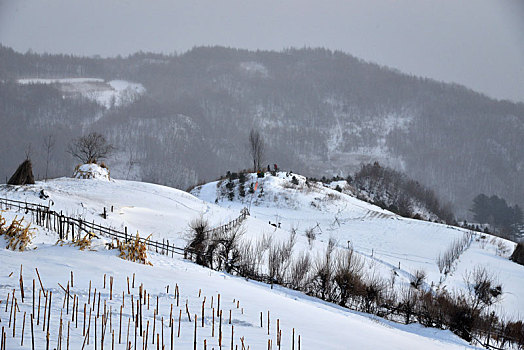 冬季吉林雪村-松岭美景如画