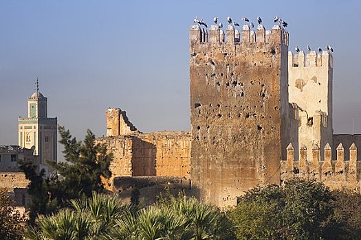 城墙,摩洛哥