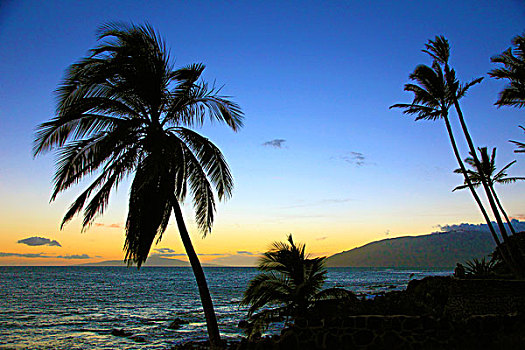 夏威夷,毛伊岛,海滩,日落