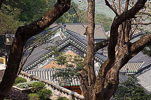 屋顶,神祠,掸邦,庙宇,新界,香港