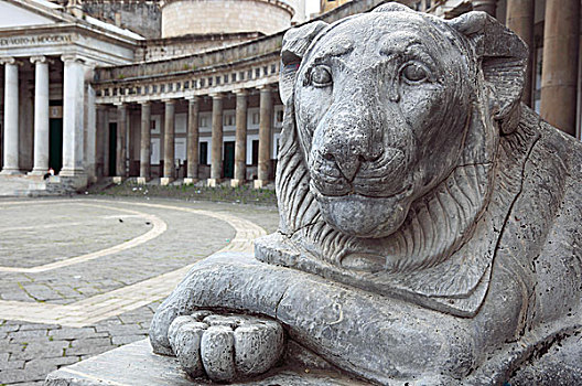 狮子,雕塑,轻笑,大教堂,教堂,广场,那不勒斯,坎帕尼亚区,意大利,欧洲