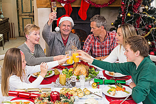 大家庭,祝酒,圣诞晚餐
