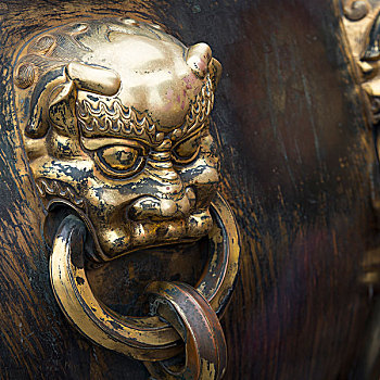 狮子,把手,青铜,坛罐,故宫,地区,北京,中国