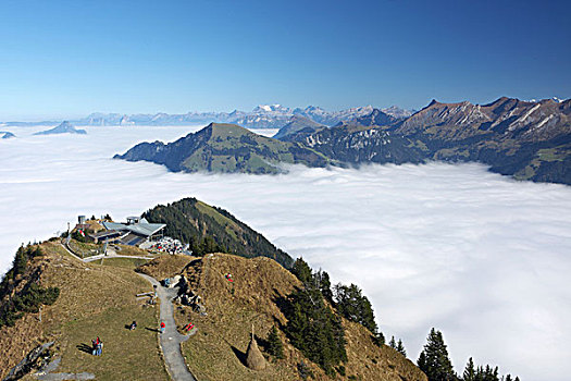 海洋,雾,山,秋天,瑞士,欧洲