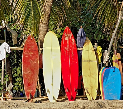 冲浪板,海岸,巴厘岛
