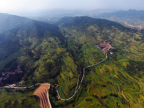 山东省日照市,航拍莒县龙山七彩梯田,色彩斑斓扮靓丰收季节